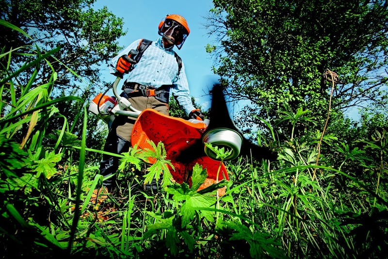 Environmentally Friendly Gardening